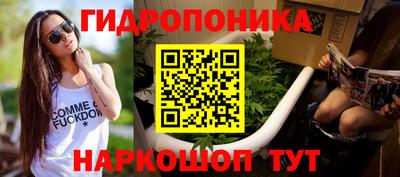 эйфоретик Бийск