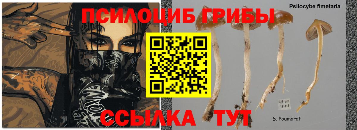 Галлюциногенные грибы мухоморы Карталы